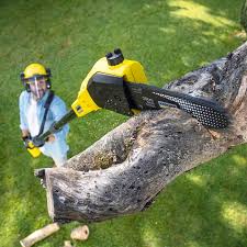 Best Tree Cabling and Bracing  in Prescott, WI