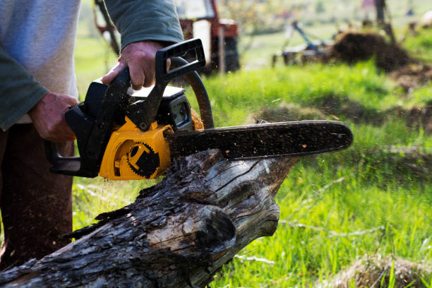 Best Firewood Processing and Delivery  in Prescott, WI